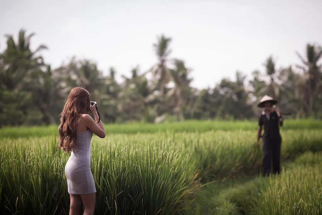 *** Hotel Manyi Village Ubud Indonésia