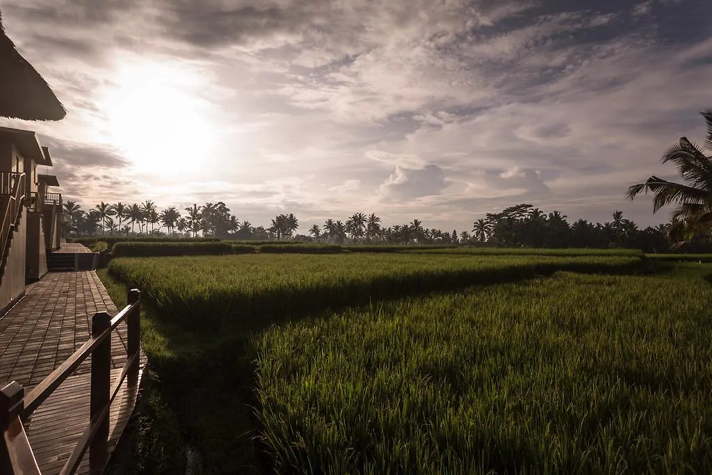 Hotel Manyi Village Ubud