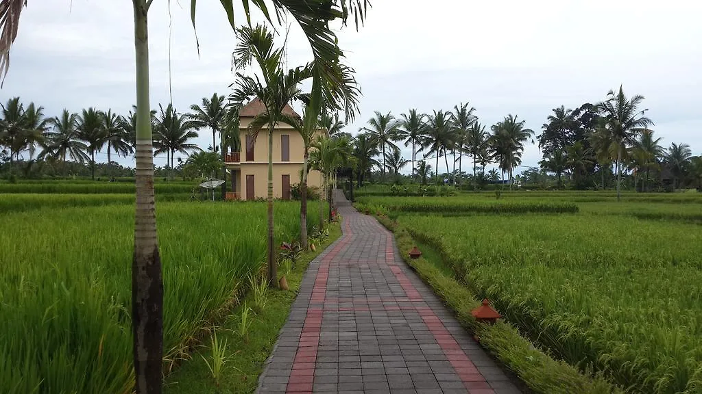 Manyi Village Ubud