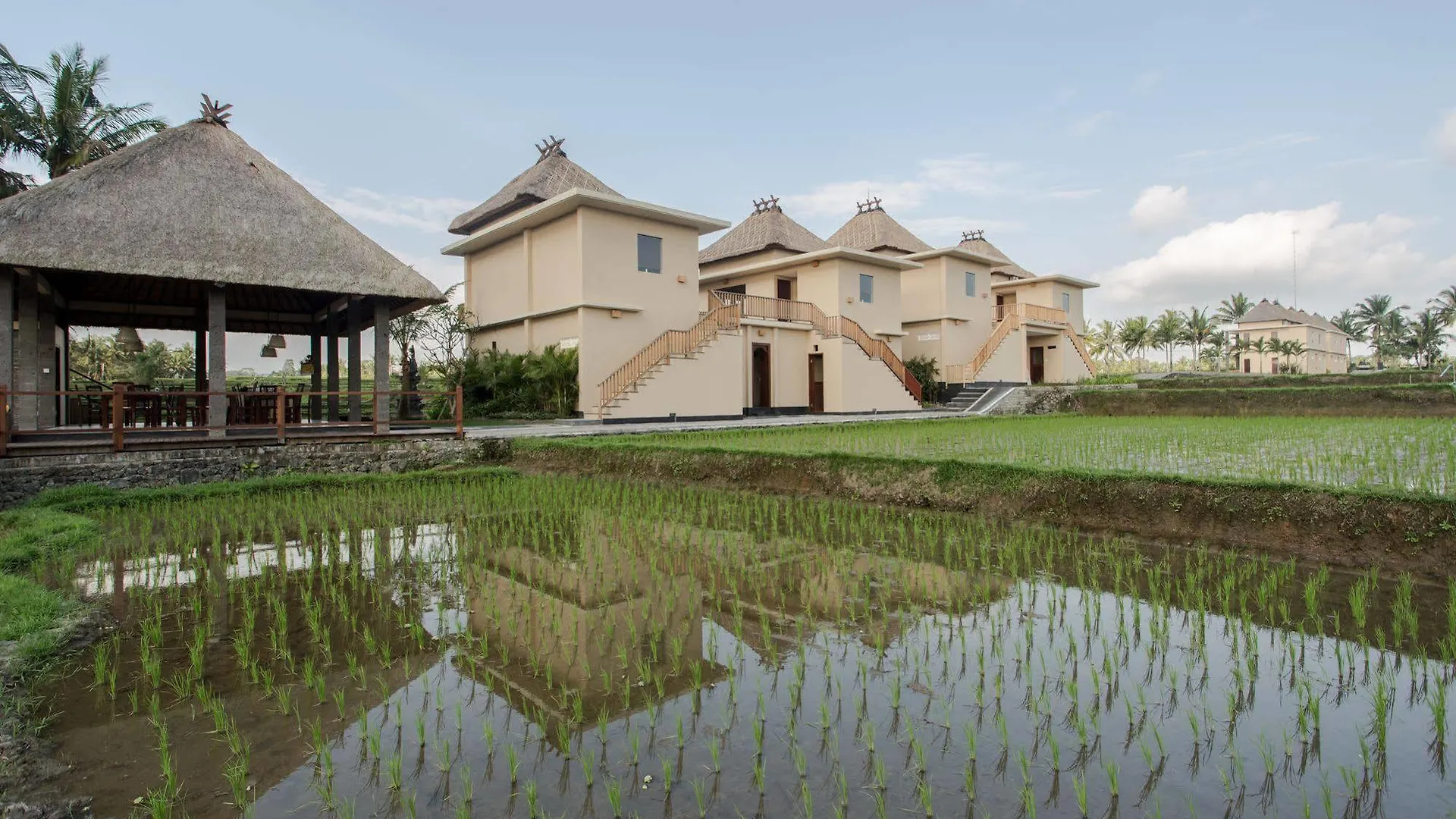 Manyi Village Ubud